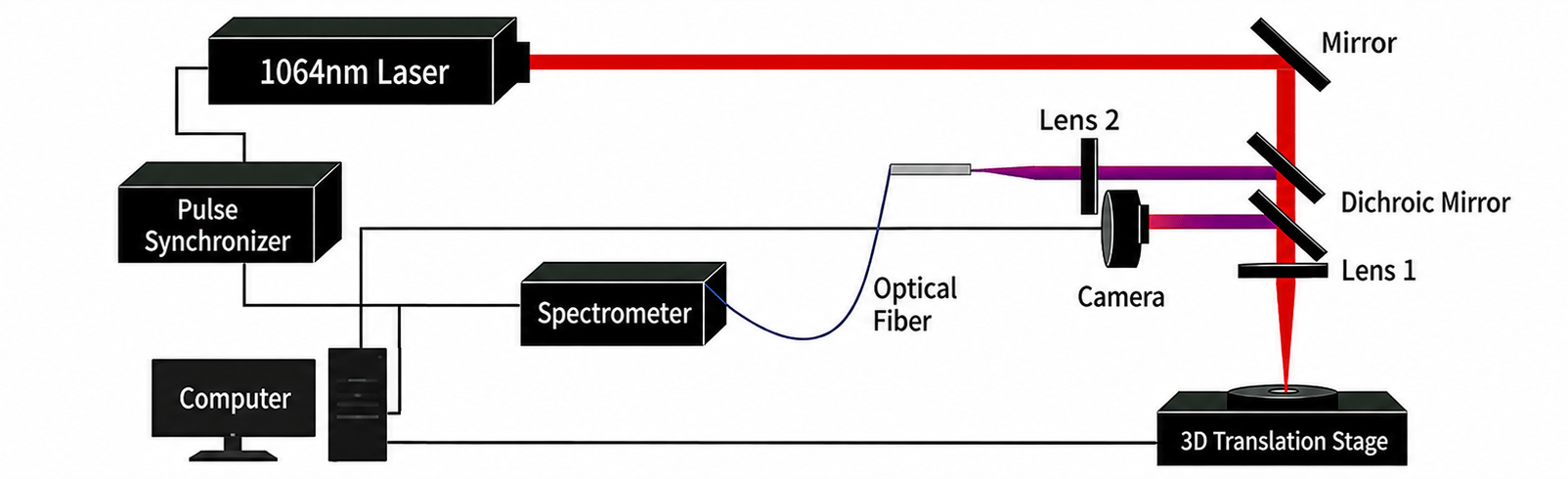 LIBS System Schematic Diagram